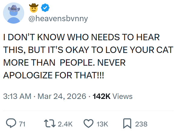 @heavensbvnny I DON'T KNOW WHO NEEDS TO HEAR THIS, BUT IT'S OKAY TO LOVE YOUR CAT MORE THAN PEOPLE. NEVER APOLOGIZE FOR THAT!!! 3:13 AM · Mar 24, 2026 142K Views Q 71 2.4K 13K ☐ 238