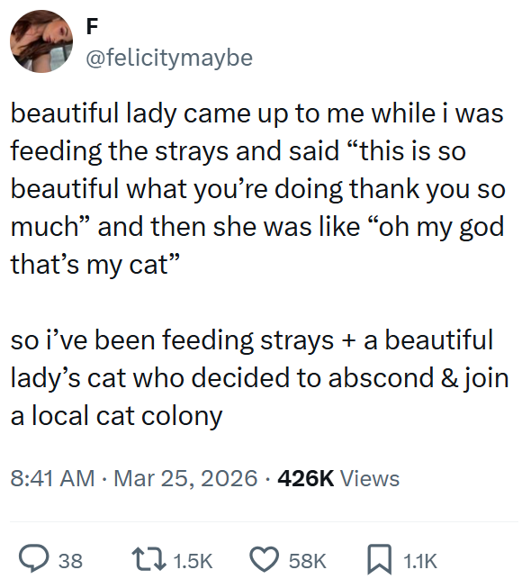 F @felicitymaybe beautiful lady came up to me while i was feeding the strays and said "this is so beautiful what you're doing thank you so much" and then she was like "oh my god that's my cat" so i've been feeding strays + a beautiful lady's cat who decided to abscond & join a local cat colony 8:41 AM · Mar 25, 2026 426K Views ○ 38 11.5K 58K ☐ 1.1K