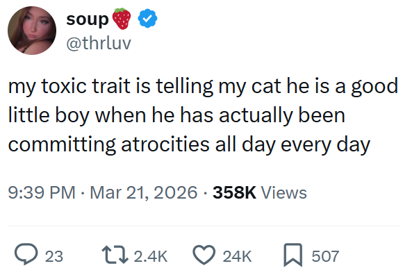 soup @thrluv my toxic trait is telling my cat he is a good little boy when he has actually been committing atrocities all day every day 9:39 PM Mar 21, 2026 358K Views > 23 12.4K 24K ☐ 507