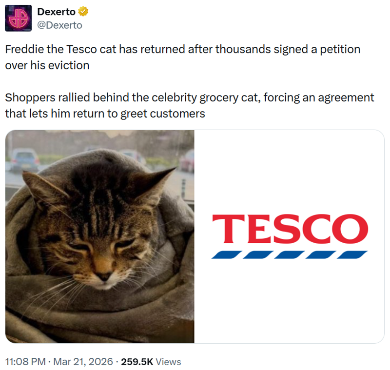 Dexerto @Dexerto Freddie the Tesco cat has returned after thousands signed a petition over his eviction Shoppers rallied behind the celebrity grocery cat, forcing an agreement that lets him return to greet customers 11:08 PM · Mar 21, 2026 259.5K Views • TESCO