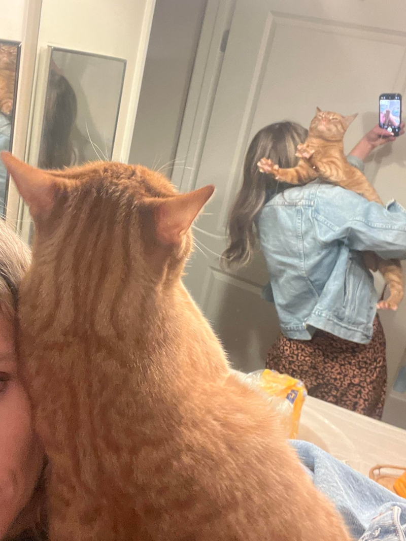 Cheezburger Image 10619652096