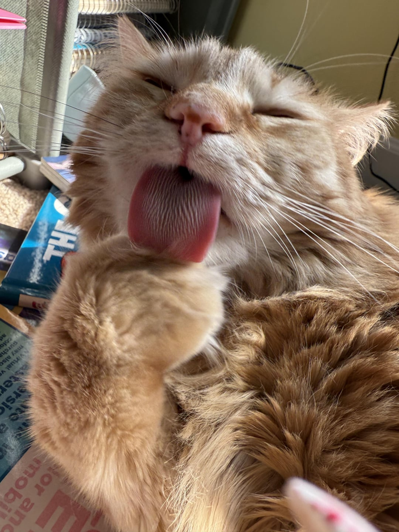 THE or and mobi ersi aster virtual ve may also purcha colo ad