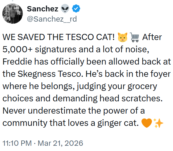 Sanchez @Sanchez_rd WE SAVED THE TESCO CAT! After 5,000+ signatures and a lot of noise, Freddie has officially been allowed back at the Skegness Tesco. He's back in the foyer where he belongs, judging your grocery choices and demanding head scratches. Never underestimate the power of a community that loves a ginger cat. 11:10 PM Mar 21, 2026