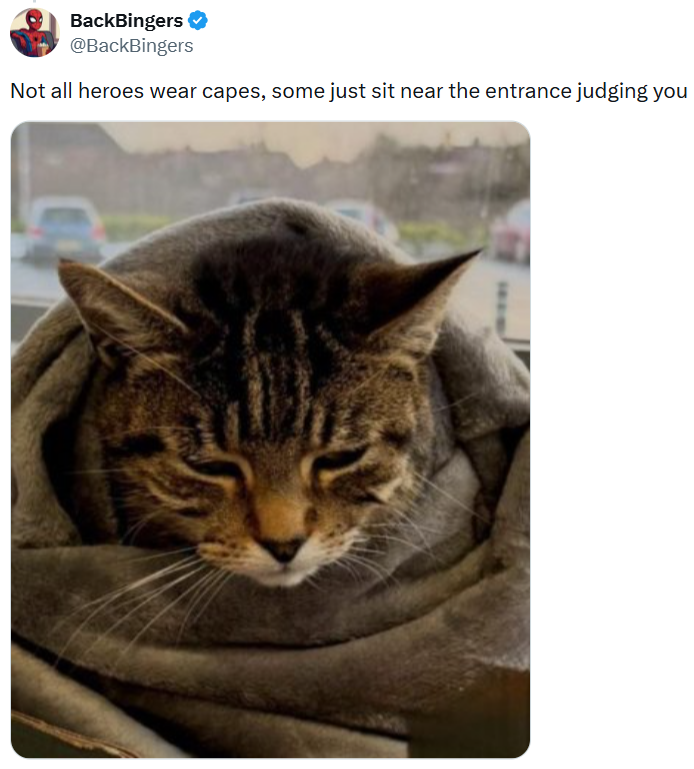 BackBingers ✔ @BackBingers Not all heroes wear capes, some just sit near the entrance judging you