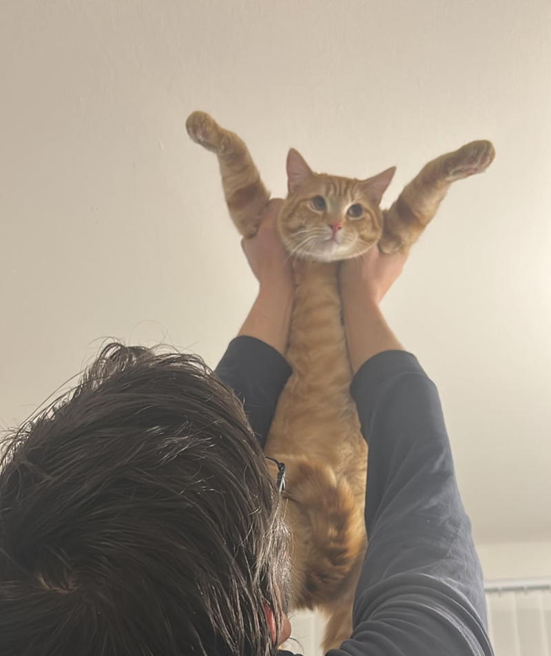 Cheezburger Image 10619654912