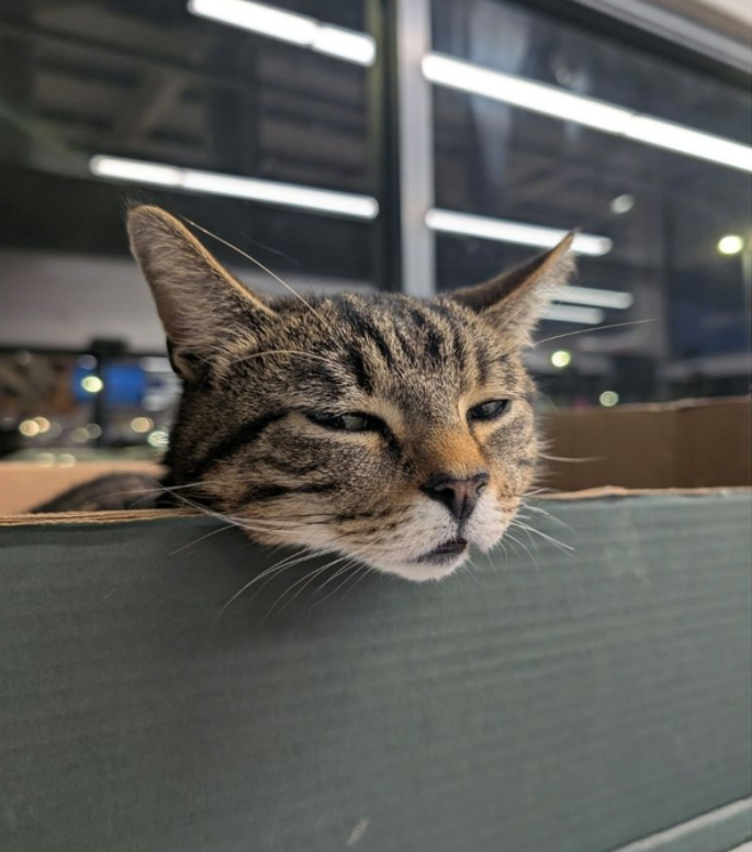 Cheezburger Image 10619655936