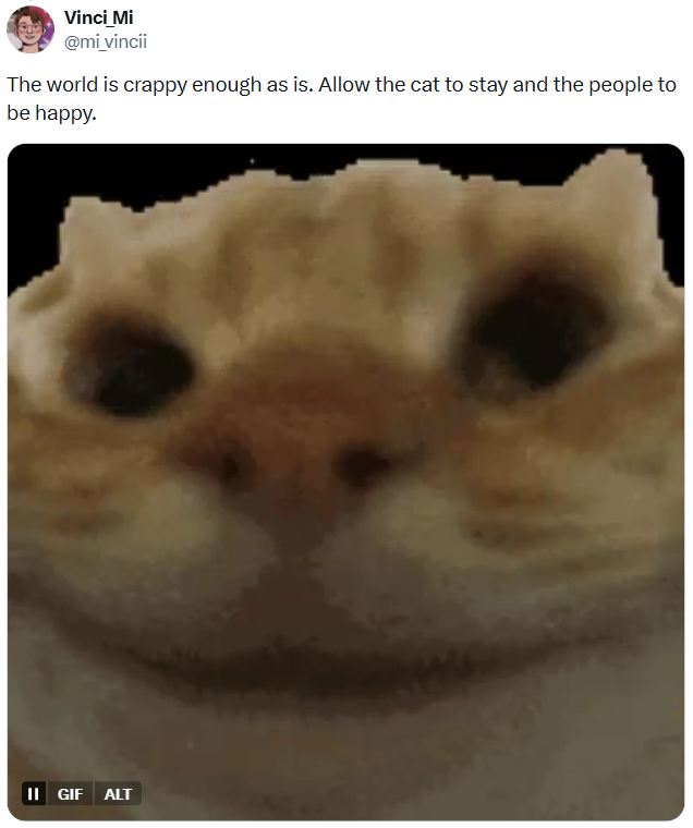 Vinci Mi @mi_vincii The world is crappy enough as is. Allow the cat to stay and the people to be happy. II GIF ALT