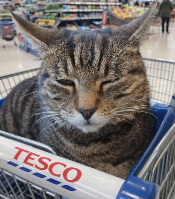 TESCO