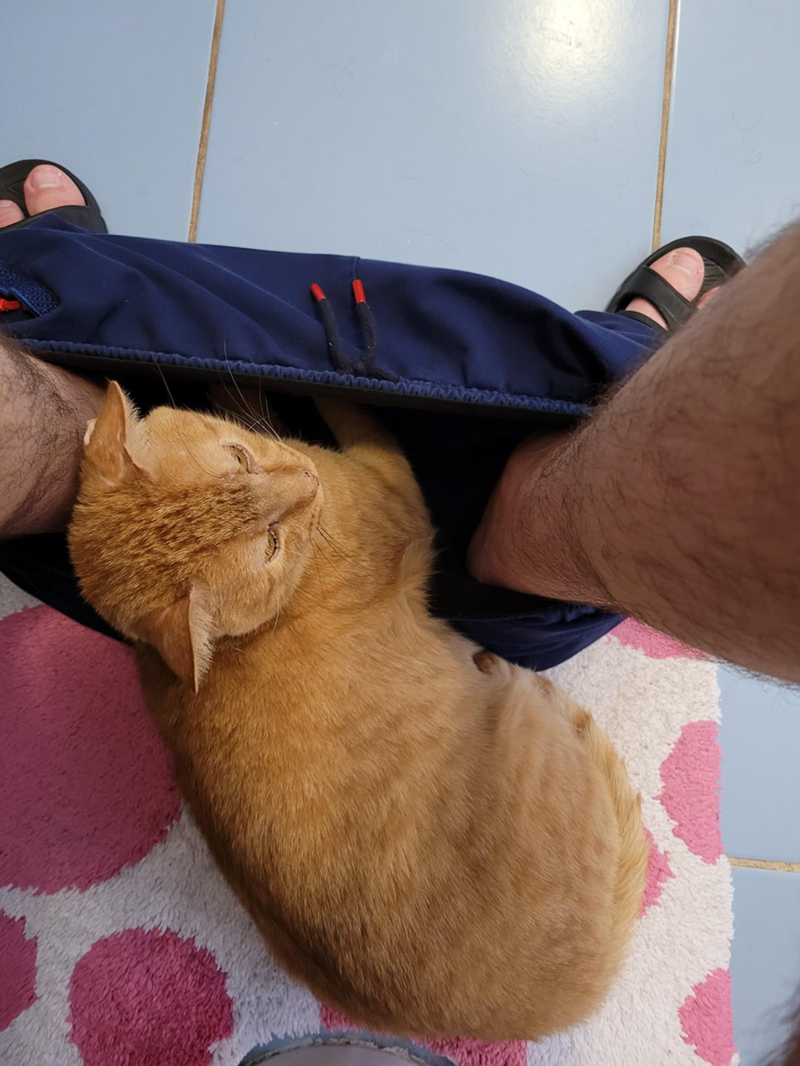 Cheezburger Image 10619659520