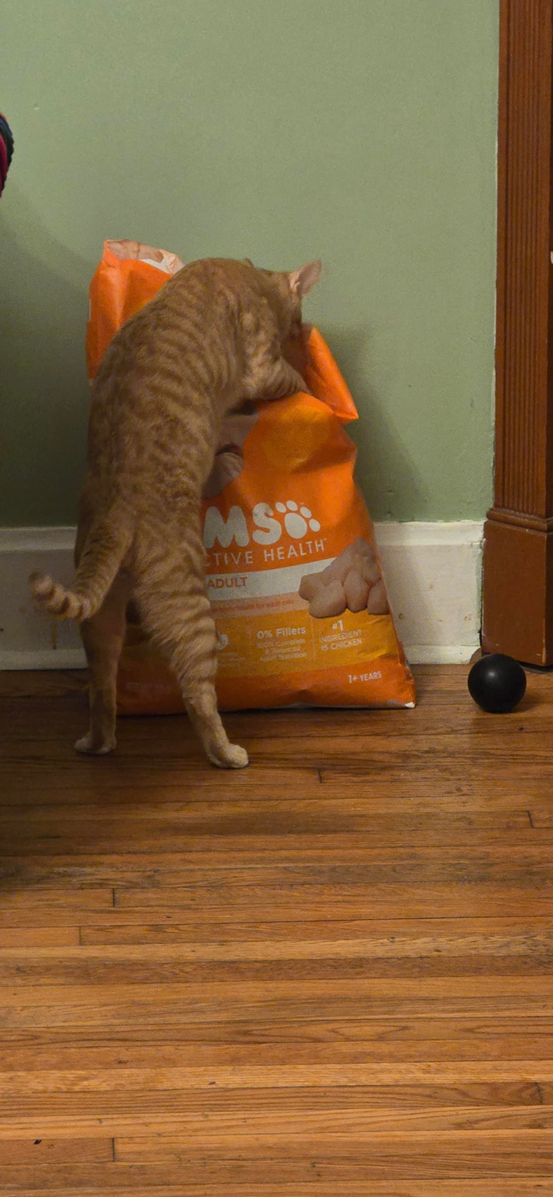 MSO TIVE HEALTH ADULT 0% Fillers 10 Complete Belanced Ader Natition #1 INGREDIENT IS CHICKEN 1+ YEARS