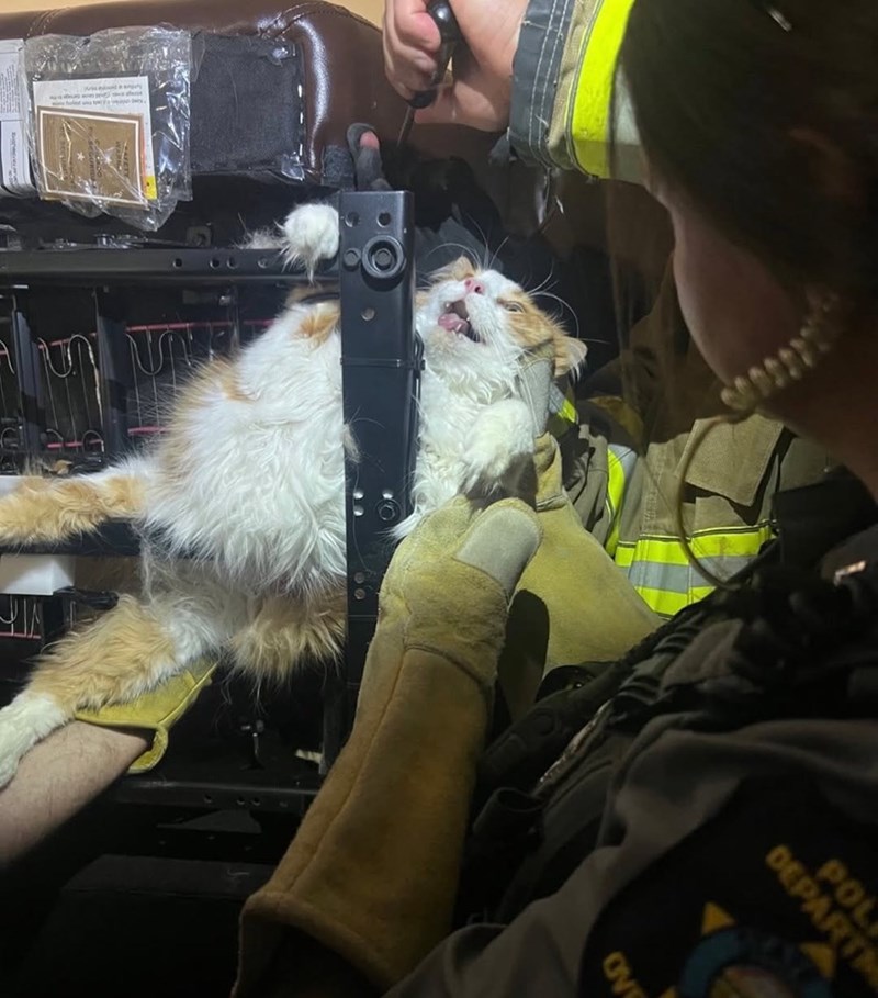 SEGURIDA POL DEPART OV