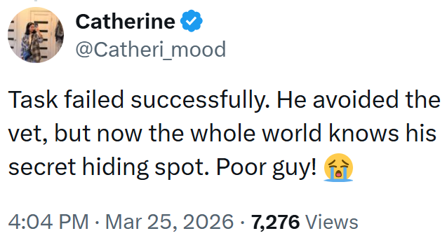 ་,,, Catherine @Catheri_mood Task failed successfully. He avoided the vet, but now the whole world knows his secret hiding spot. Poor guy! 4:04 PM · Mar 25, 2026 · 7,276 Views