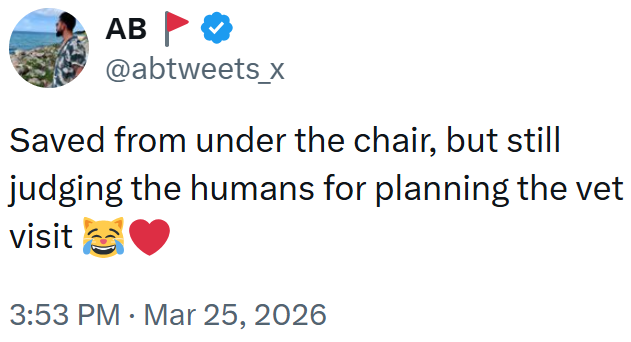 AB▸ @abtweets_x Saved from under the chair, but still judging the humans for planning the vet visit 3:53 PM Mar 25, 2026