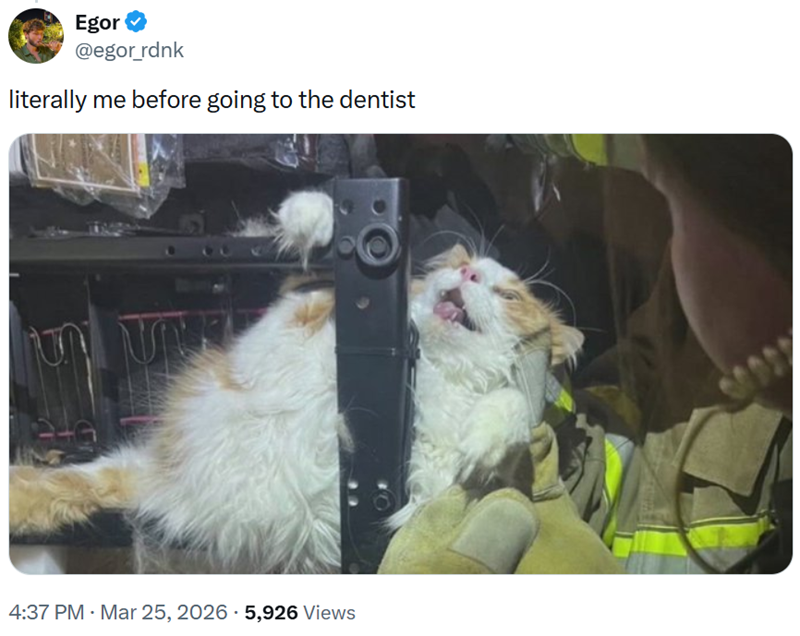 Egor @egor_rdnk literally me before going to the dentist ՄՈ 4:37 PM · Mar 25, 2026 5,926 Views