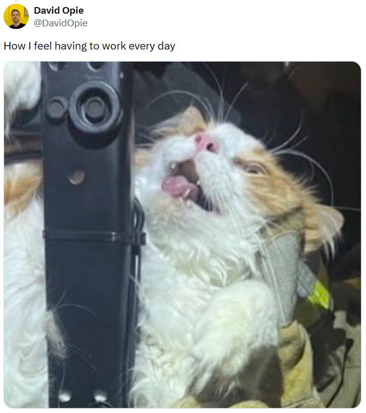 David Opie @DavidOpie How I feel having to work every day