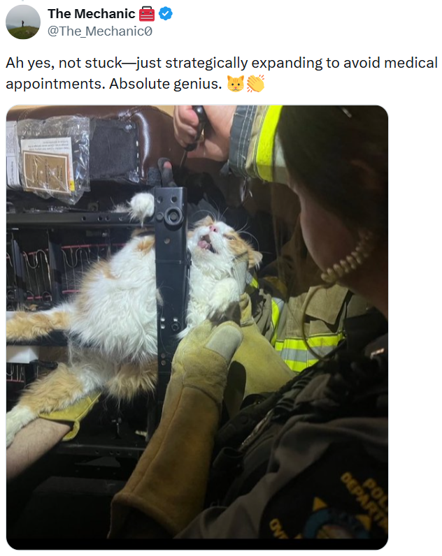 The Mechanic @The_Mechanic Ah yes, not stuck-just strategically expanding to avoid medical appointments. Absolute genius. AND DEPART POL