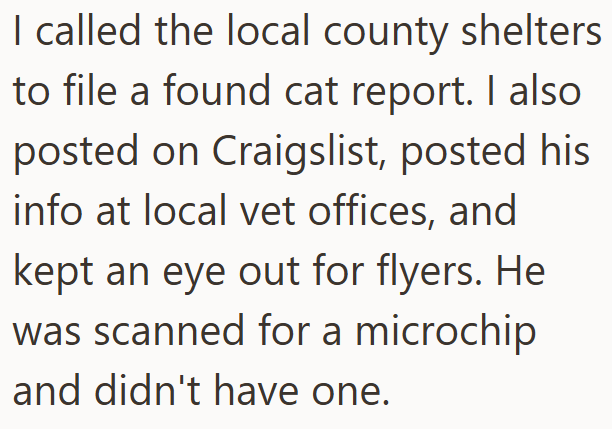 I called the local county shelters to file a found cat report. I also posted on Craigslist, posted his info at local vet offices, and kept an eye out for flyers. He was scanned for a microchip and didn't have one.