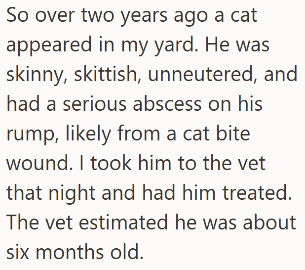 So over two years ago a cat appeared in my yard. He was skinny, skittish, unneutered, and had a serious abscess on his rump, likely from a cat bite wound. I took him to the vet that night and had him treated. The vet estimated he was about six months old.