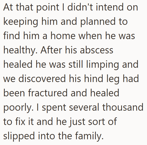 At that point I didn't intend on keeping him and planned to find him a home when he was healthy. After his abscess healed he was still limping and we discovered his hind leg had been fractured and healed poorly. I spent several thousand to fix it and he just sort of slipped into the family.
