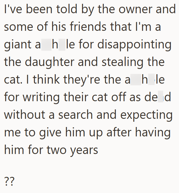 I've been told by the owner and some of his friends that I'm a giant a hle for disappointing the daughter and stealing the cat. I think they're the a_h_le for writing their cat off as de d without a search and expecting me to give him up after having him for two years ??