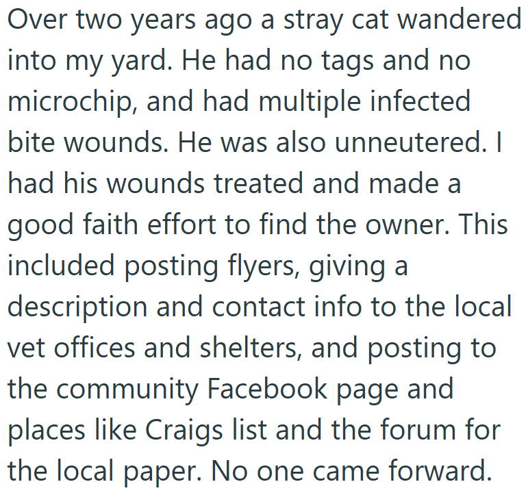 Over two years ago a stray cat wandered into my yard. He had no tags and no microchip, and had multiple infected bite wounds. He was also unneutered. I had his wounds treated and made a good faith effort to find the owner. This included posting flyers, giving a description and contact info to the local vet offices and shelters, and posting to the community Facebook page and places like Craigs list and the forum for the local paper. No one came forward.