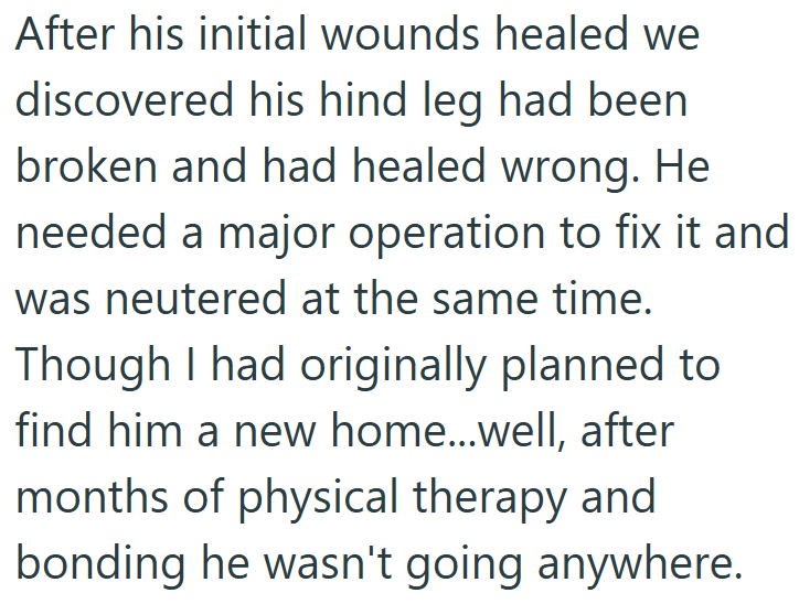 After his initial wounds healed we discovered his hind leg had been broken and had healed wrong. He needed a major operation to fix it and was neutered at the same time. Though I had originally planned to find him a new home...well, after months of physical therapy and bonding he wasn't going anywhere.