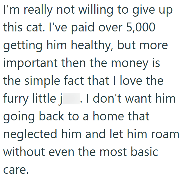 I'm really not willing to give up this cat. I've paid over 5,000 getting him healthy, but more important then the money is the simple fact that I love the furry little j . I don't want him going back to a home that neglected him and let him roam without even the most basic care.