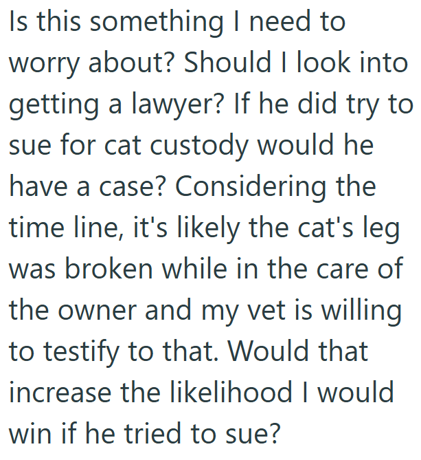 Is this something I need to worry about? Should I look into getting a lawyer? If he did try to sue for cat custody would he have a case? Considering the time line, it's likely the cat's leg was broken while in the care of the owner and my vet is willing to testify to that. Would that increase the likelihood I would win if he tried to sue?