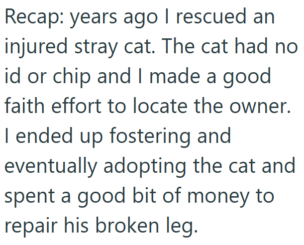 Recap: years ago I rescued an injured stray cat. The cat had no id or chip and I made a good faith effort to locate the owner. I ended up fostering and eventually adopting the cat and spent a good bit of money to repair his broken leg.