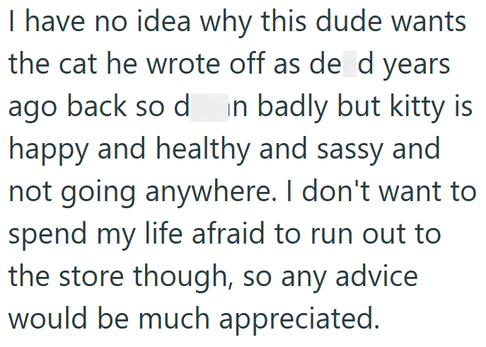 I have no idea why this dude wants the cat he wrote off as de d years ago back so din badly but kitty is happy and healthy and sassy and not going anywhere. I don't want to spend my life afraid to run out to the store though, so any advice would be much appreciated.
