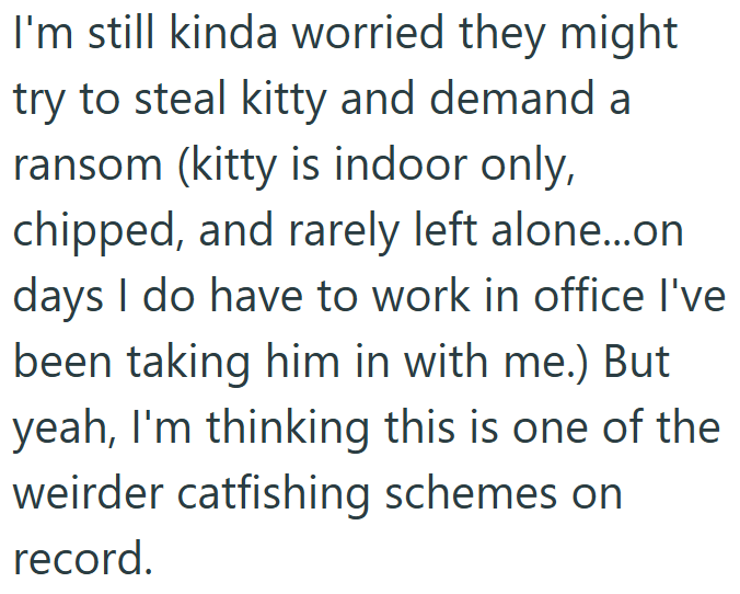 I'm still kinda worried they might try to steal kitty and demand a ransom (kitty is indoor only, chipped, and rarely left alone...on days I do have to work in office I've been taking him in with me.) But yeah, I'm thinking this is one of the weirder catfishing schemes on record.