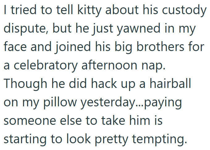I tried to tell kitty about his custody dispute, but he just yawned in my face and joined his big brothers for a celebratory afternoon nap. Though he did hack up a hairball on my pillow yesterday...paying someone else to take him is starting to look pretty tempting.
