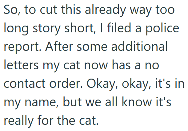 So, to cut this already way too long story short, I filed a police. report. After some additional letters my cat now has a no contact order. Okay, okay, it's in my name, but we all know it's really for the cat.