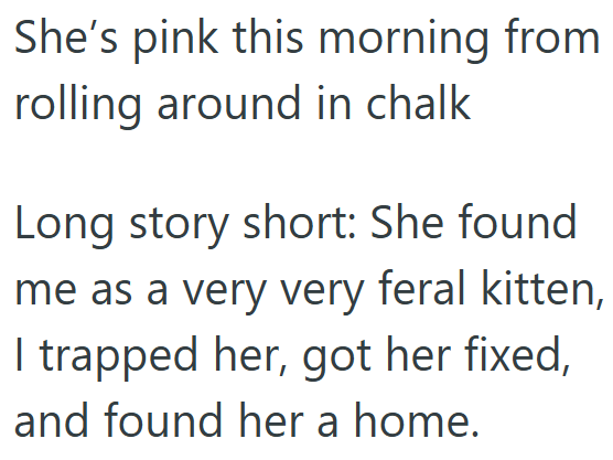 She's pink this morning from rolling around in chalk Long story short: She found me as a very very feral kitten, I trapped her, got her fixed, and found her a home.