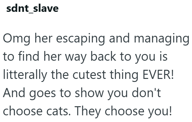 sdnt_slave Omg her escaping and managing to find her way back to you is litterally the cutest thing EVER! And goes to show you don't choose cats. They choose you!