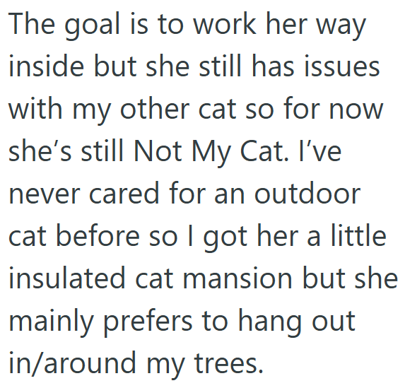 The goal is to work her way inside but she still has issues with my other cat so for now she's still Not My Cat. I've never cared for an outdoor cat before so I got her a little insulated cat mansion but she mainly prefers to hang out in/around my trees.
