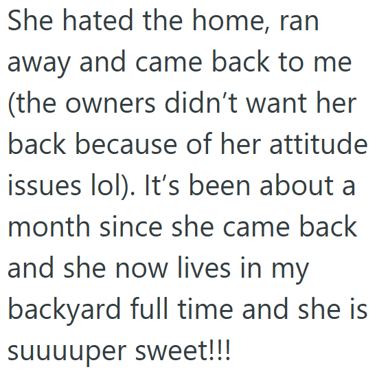She hated the home, ran away and came back to me (the owners didn't want her back because of her attitude issues lol). It's been about a month since she came back and she now lives in my backyard full time and she is suuuuper sweet!!!