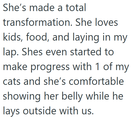 She's made a total transformation. She loves kids, food, and laying in my lap. Shes even started to make progress with 1 of my cats and she's comfortable showing her belly while he lays outside with us.