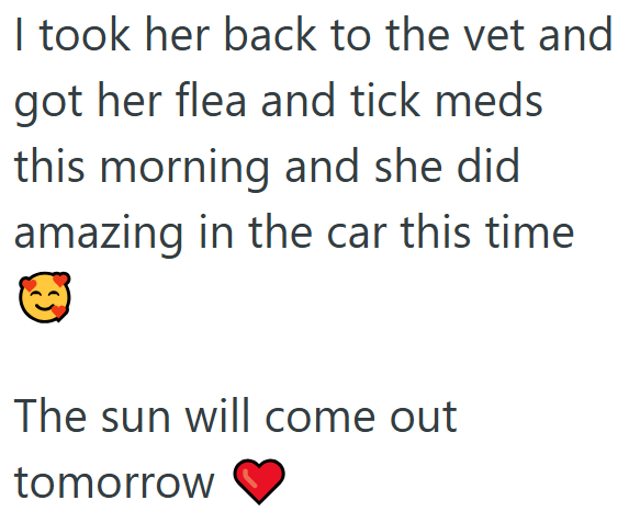 I took her back to the vet and got her flea and tick meds this morning and she did amazing in the car this time The sun will come out tomorrow