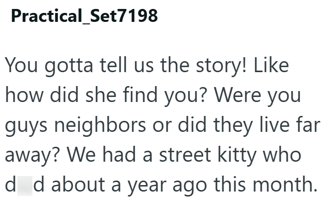 Practical_Set7198 You gotta tell us the story! Like how did she find you? Were you guys neighbors or did they live far away? We had a street kitty who d d about a year ago this month.