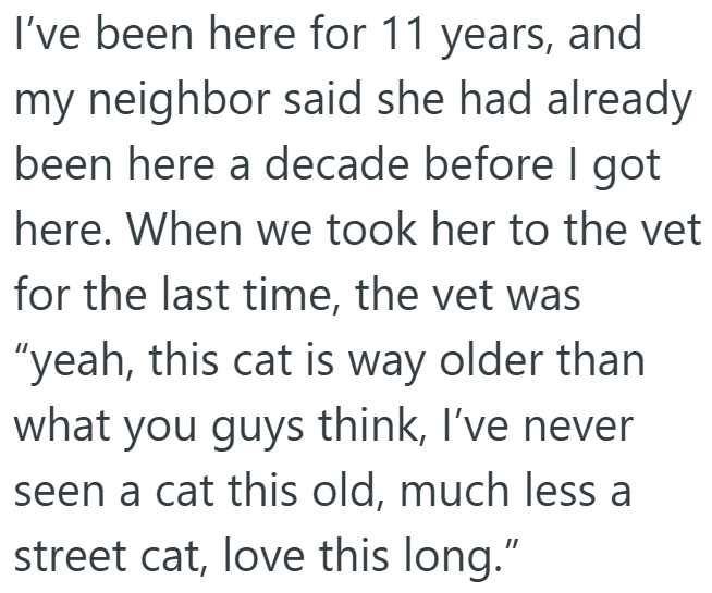 I've been here for 11 years, and my neighbor said she had already been here a decade before I got here. When we took her to the vet for the last time, the vet was "yeah, this cat is way older than what you guys think, I've never seen a cat this old, much less a street cat, love this long."