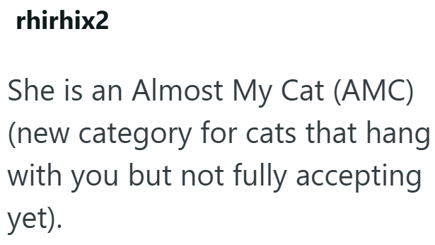 rhirhix2 She is an Almost My Cat (AMC) (new category for cats that hang with you but not fully accepting yet).