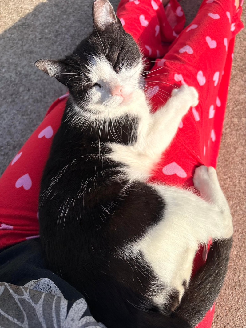 Cheezburger Image 10619677952