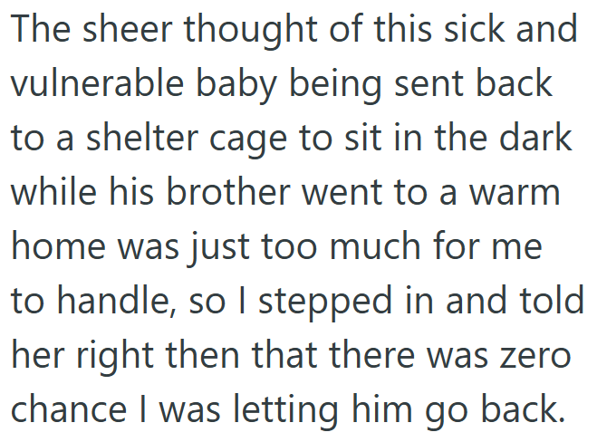 The sheer thought of this sick and vulnerable baby being sent back to a shelter cage to sit in the dark while his brother went to a warm home was just too much for me to handle, so I stepped in and told her right then that there was zero chance I was letting him go back.