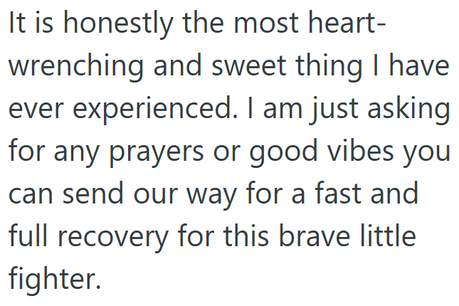 It is honestly the most heart- wrenching and sweet thing I have ever experienced. I am just asking for any prayers or good vibes you can send our way for a fast and full recovery for this brave little fighter.