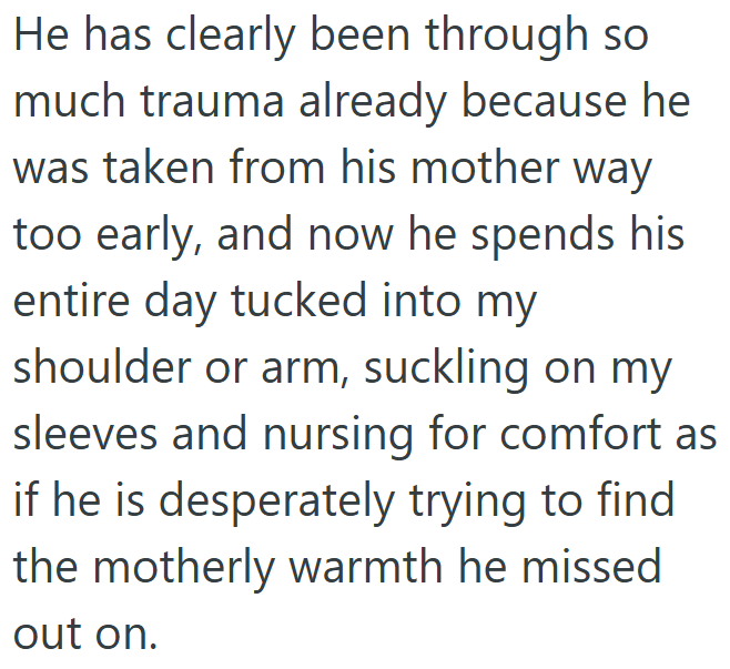 He has clearly been through so much trauma already because he was taken from his mother way too early, and now he spends his entire day tucked into my shoulder or arm, suckling on my sleeves and nursing for comfort as if he is desperately trying to find the motherly warmth he missed out on.
