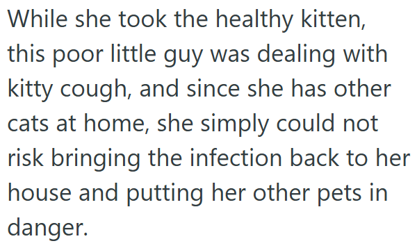 While she took the healthy kitten, this poor little guy was dealing with kitty cough, and since she has other cats at home, she simply could not risk bringing the infection back to her house and putting her other pets in danger.
