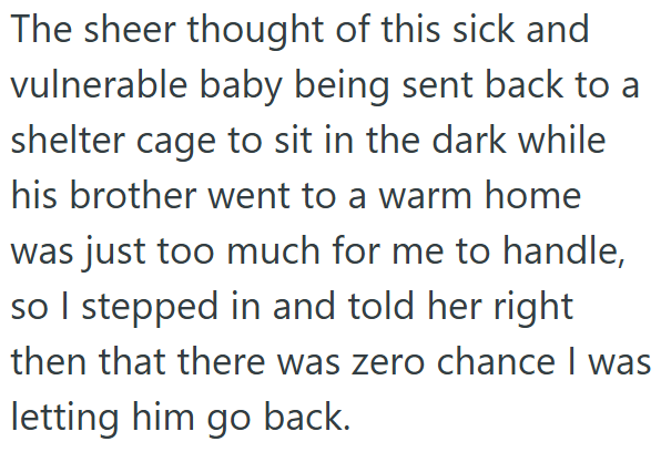 The sheer thought of this sick and vulnerable baby being sent back to a shelter cage to sit in the dark while his brother went to a warm home was just too much for me to handle, so I stepped in and told her right then that there was zero chance I was letting him go back.