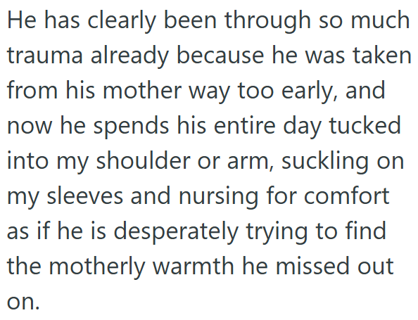 He has clearly been through so much trauma already because he was taken from his mother way too early, and now he spends his entire day tucked into my shoulder or arm, suckling on my sleeves and nursing for comfort as if he is desperately trying to find the motherly warmth he missed out on.