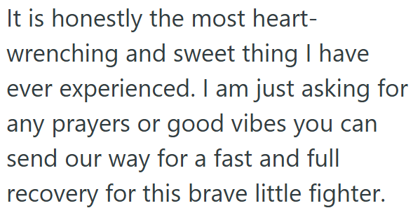 It is honestly the most heart- wrenching and sweet thing I have ever experienced. I am just asking for any prayers or good vibes you can send our way for a fast and full recovery for this brave little fighter.